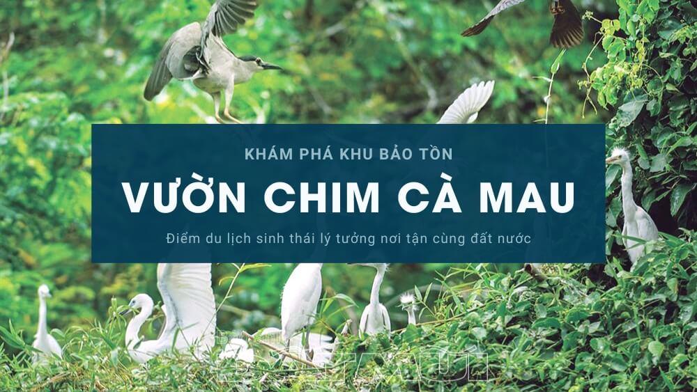 Điểm du lịch sinh thái lý tưởng cho kỳ nghỉ tết dương lịch 2024 "Vườn chim Cà Mau"